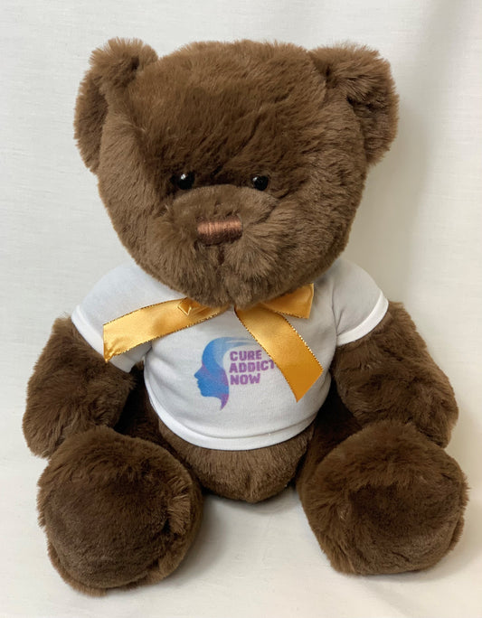 Cure Addiction Now Teddy Bear