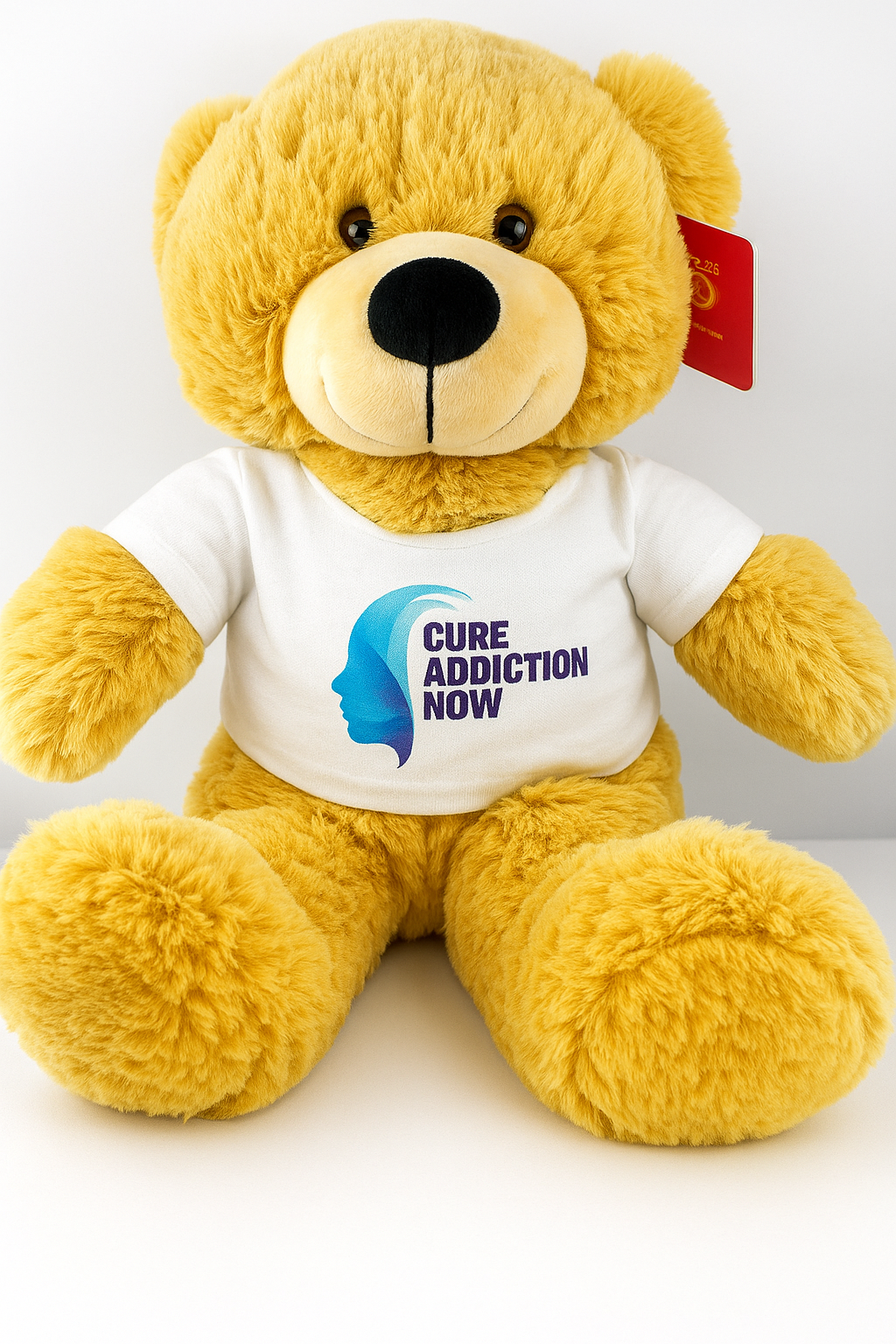Cure Addiction Now Teddy Bear