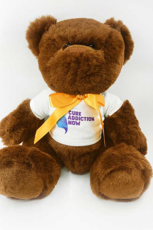 Cure Addiction Now Teddy Bear